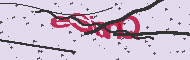 Captcha認証コード